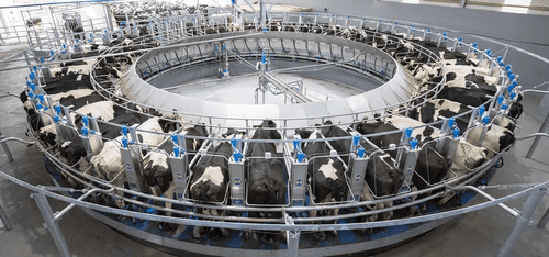 Доильные установки